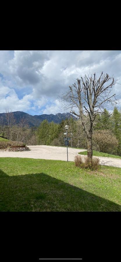 卡瓦莱塞Casa Gilda Val Di Fiemme - Dolomiti公寓 外观 照片